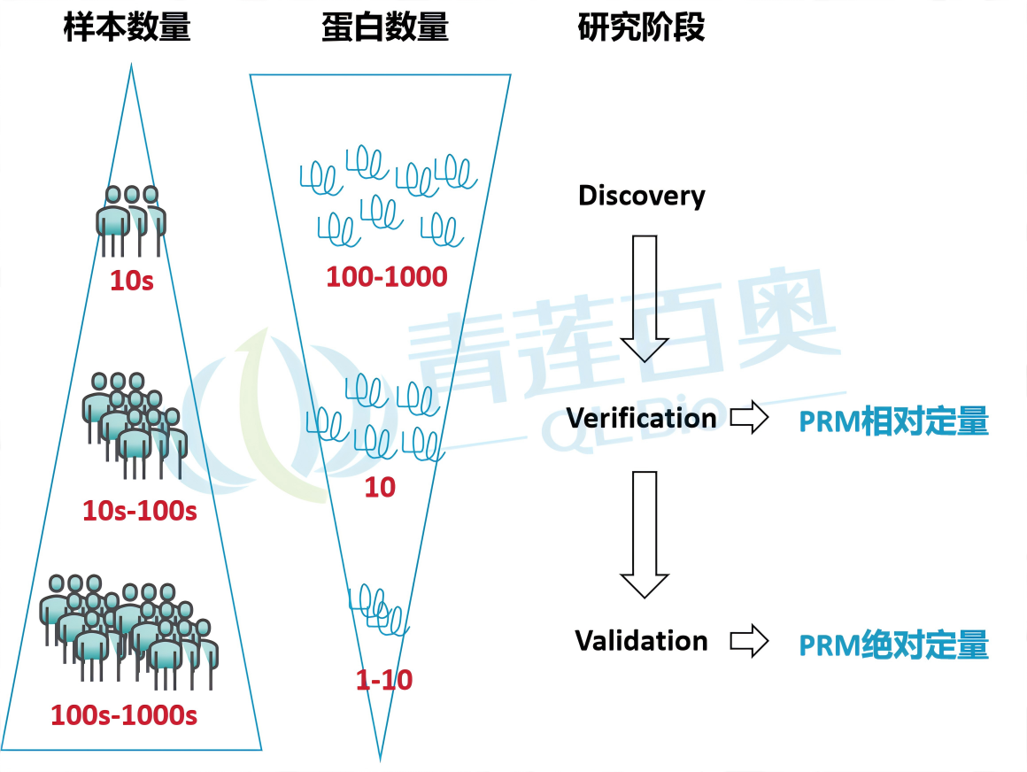 圖片4(1).png